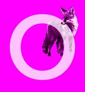Summer Break Series: Ethology (Animal behavior)