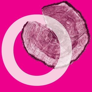 Summer Break Series: Gerentology (Aging)