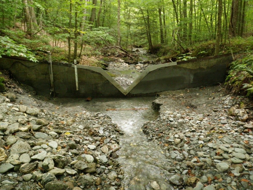 Image of Hopkins Memorial Forest