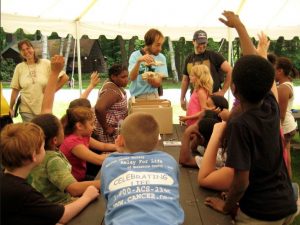 Berkshire Bioblitz in Hopkins Forest