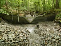 Hopkins Memorial Forest Walk