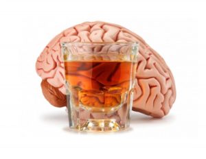 Environmental and Genetic Vulnerabilities to Alcohol: Fighting, Feeling Good, and the Fetus