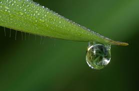 Ecological Justice and Judaism: A Deep Shift in Consciousness