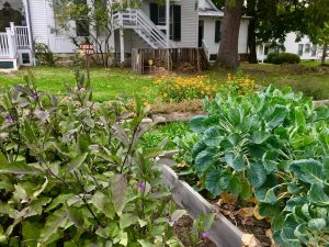 Spring Cleaning and Gardening!