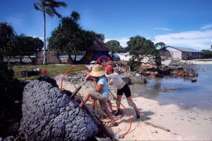 Life and Death on a Remote Pacific Reef: Lessons in Resilience