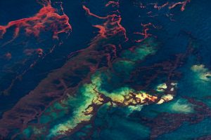 Towards Ecological Community: A Conversation with Clifton Granby
