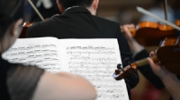 Lesson Auditions for Violinists and Violists