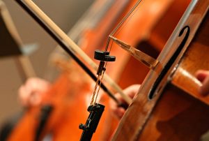 Tommy Clarke '25, cello