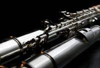 Auditions: Winds for Ensembles