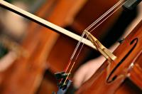 Auditions: String Auditions