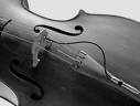 Auditions for Cello Lessons