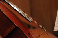 Lesson Auditions for Cellists