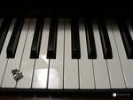 Auditions: Piano Instruction