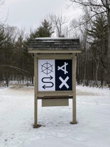 Artist walk with Anne Thompson