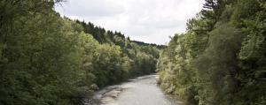 STATE OF THE HOOSIC RIVER