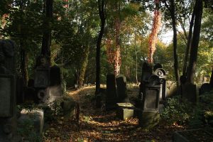 Tending to the Jewish Ancestral:Emergent on Yom Hashoah/Holocaust Memorial Day