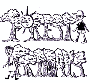 FOREST FRIDAYS! Afternoon Walks in Hopkins Forest 4-5:30pm